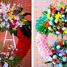 Coronas roja y rosa