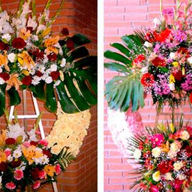 Coronas rosa y crema 